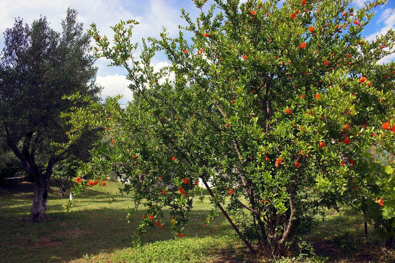 Pomegranate Tree House - Meteora Pensionat Kalampaka Exteriör bild